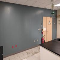 images/fun/lab-remodel/PXL.jpg