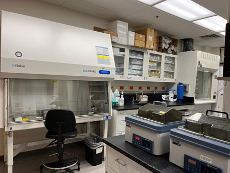 New Cell culture lab 2